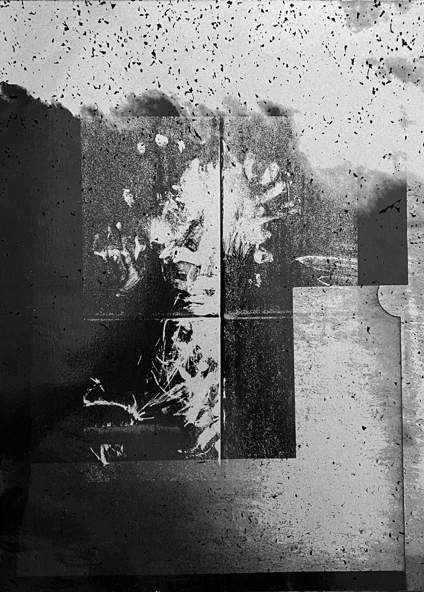 One millimeter of Dark Dirt and a Veil of Dead Cows by Vincent Jendly