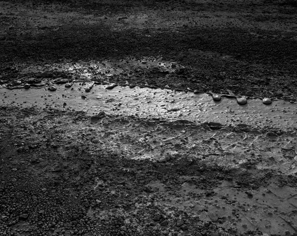 One millimeter of Dark Dirt and a Veil of Dead Cows by Vincent Jendly - Image 5