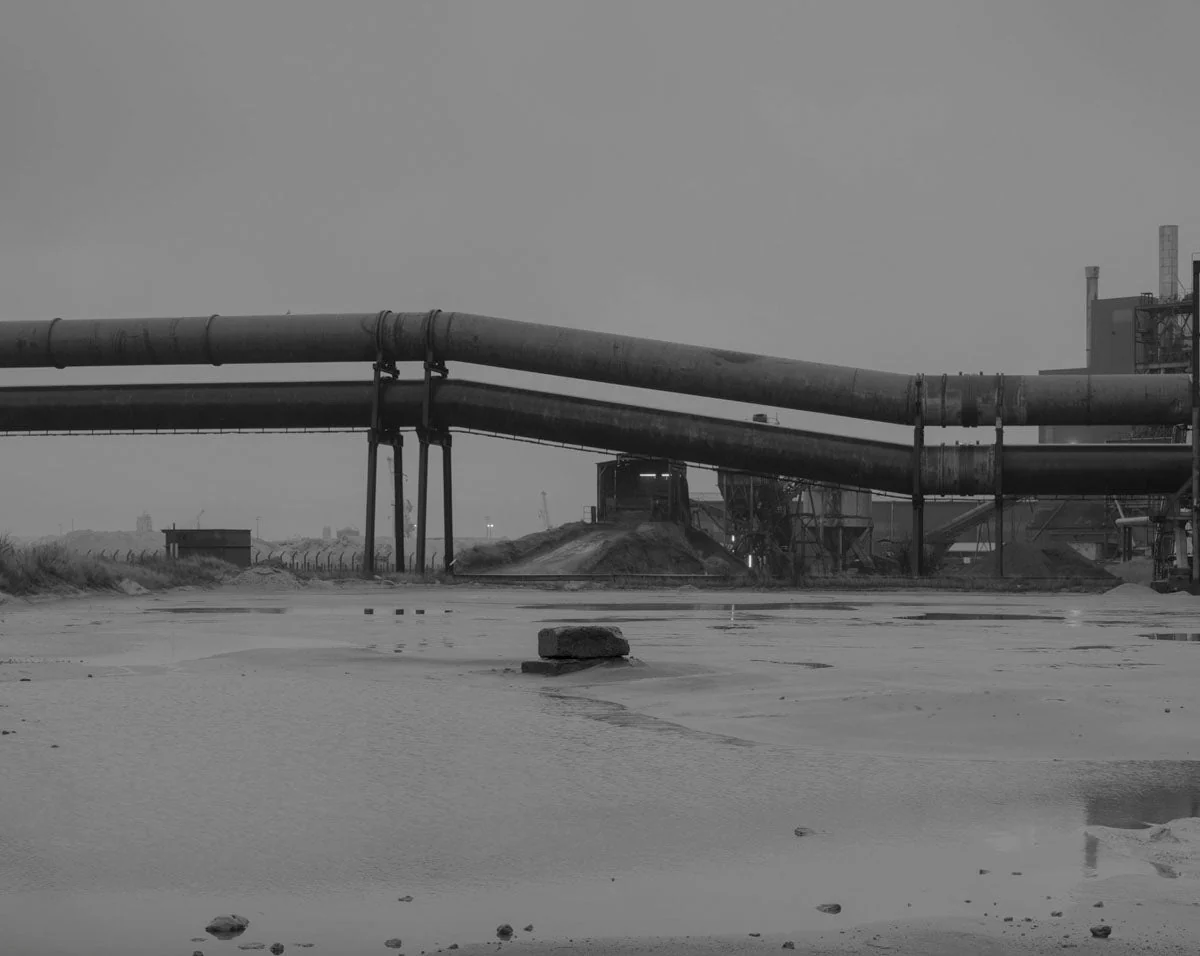 One millimeter of Dark Dirt and a Veil of Dead Cows by Vincent Jendly - Image 6