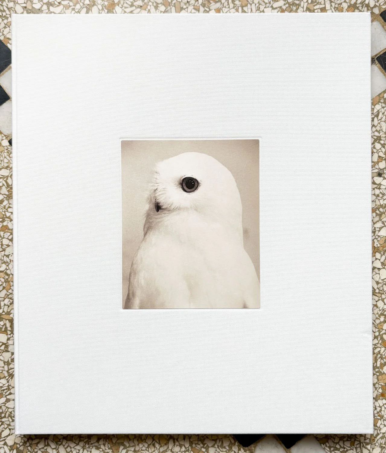 Owl by Yamamoto Masao