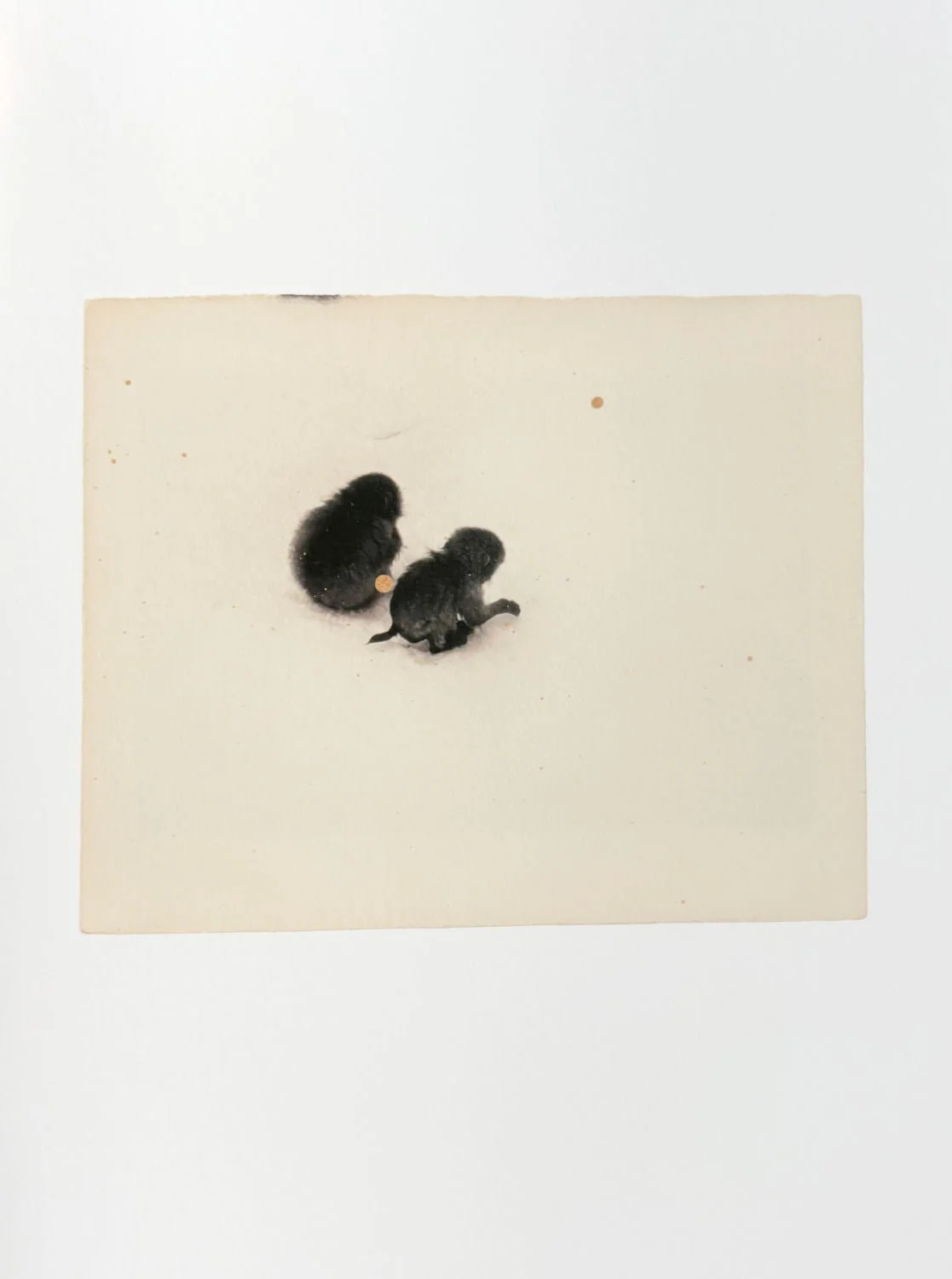 Owl by Yamamoto Masao - Image 7