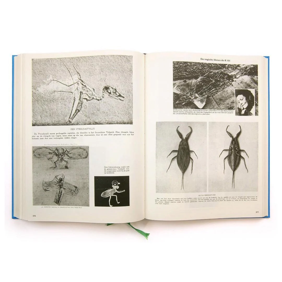 Parallel Encyclopedia Vol.1 -reprint- by Batia Suter - Image 4