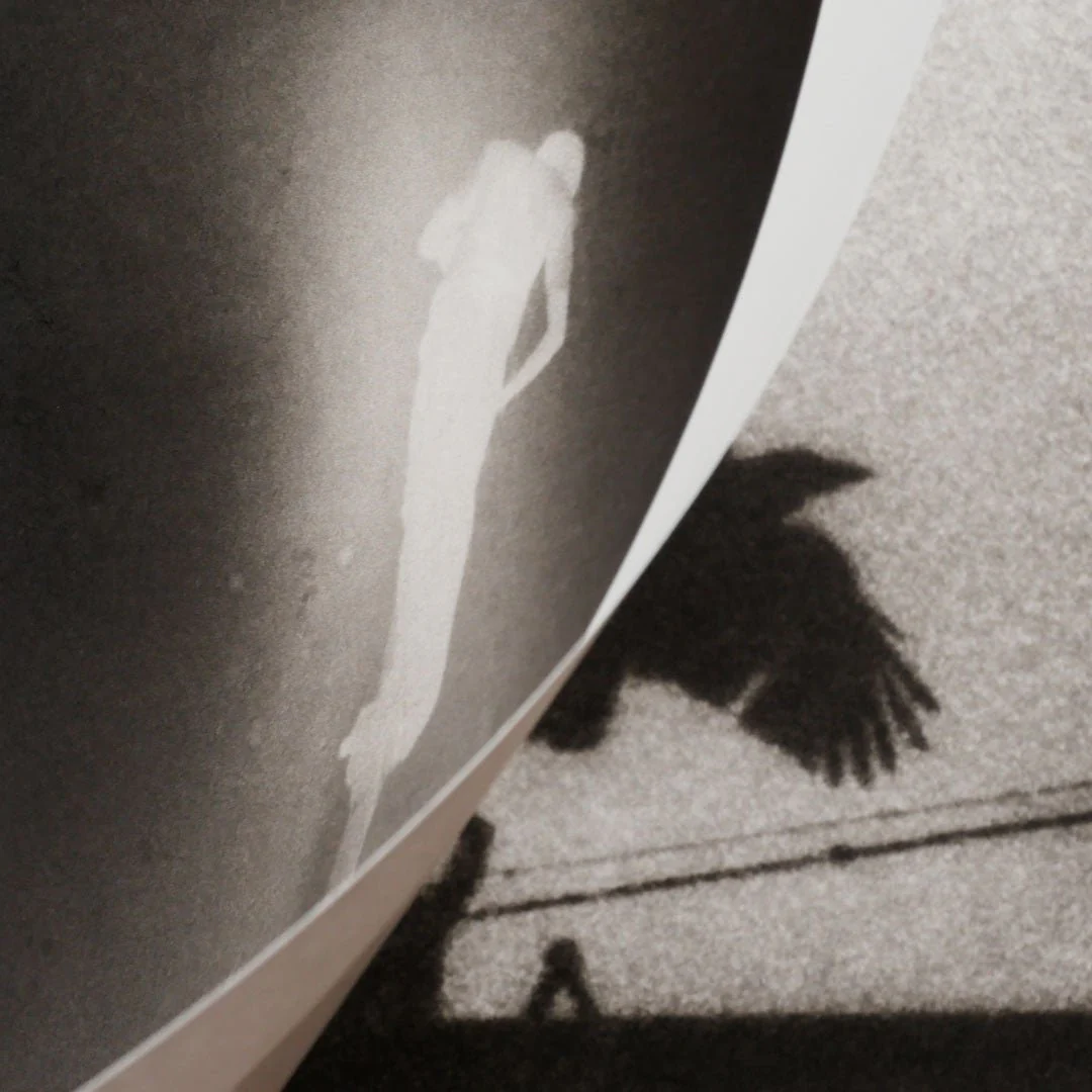 Passenger by Martin Bogren - Image 6
