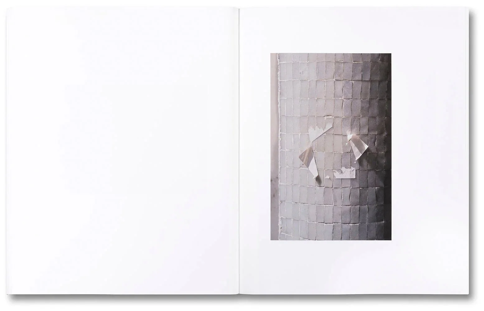 Pharmakon by Teju Cole - Image 4