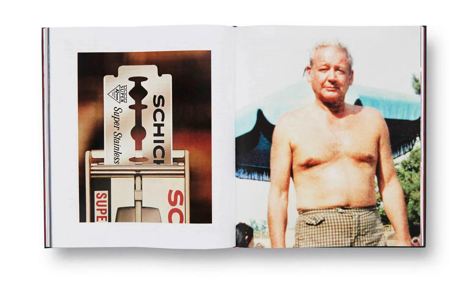 Pictures from Home by Larry Sultan - Image 2