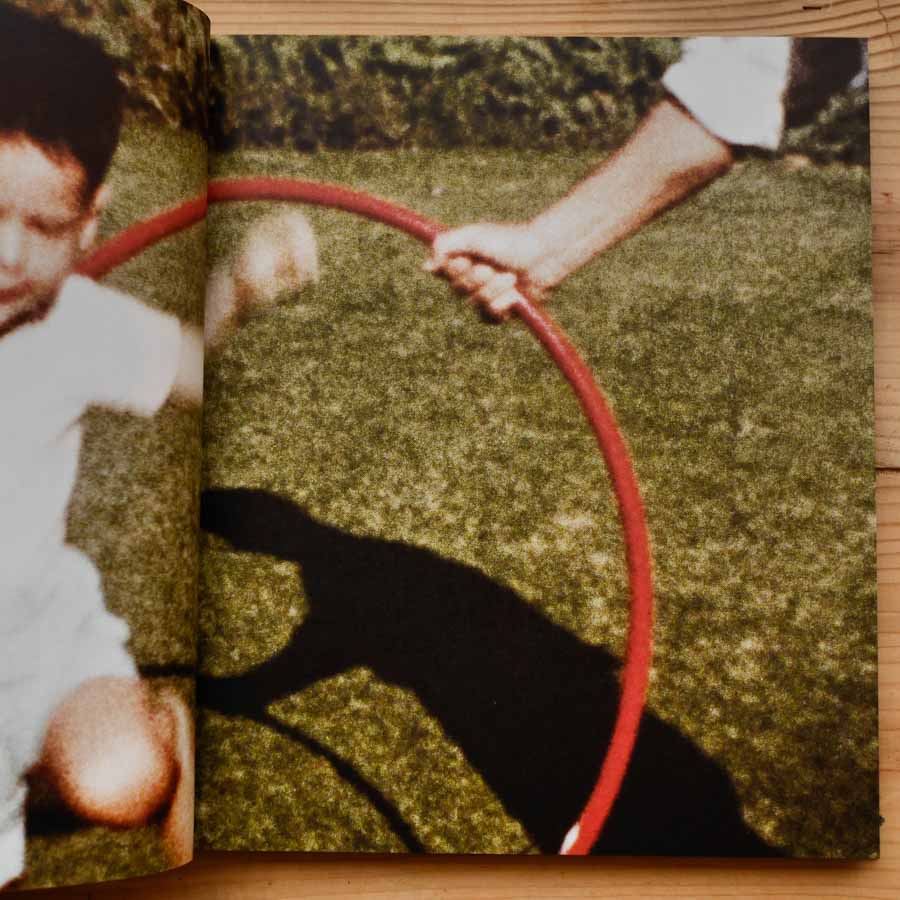 Pictures from Home by Larry Sultan - Image 3