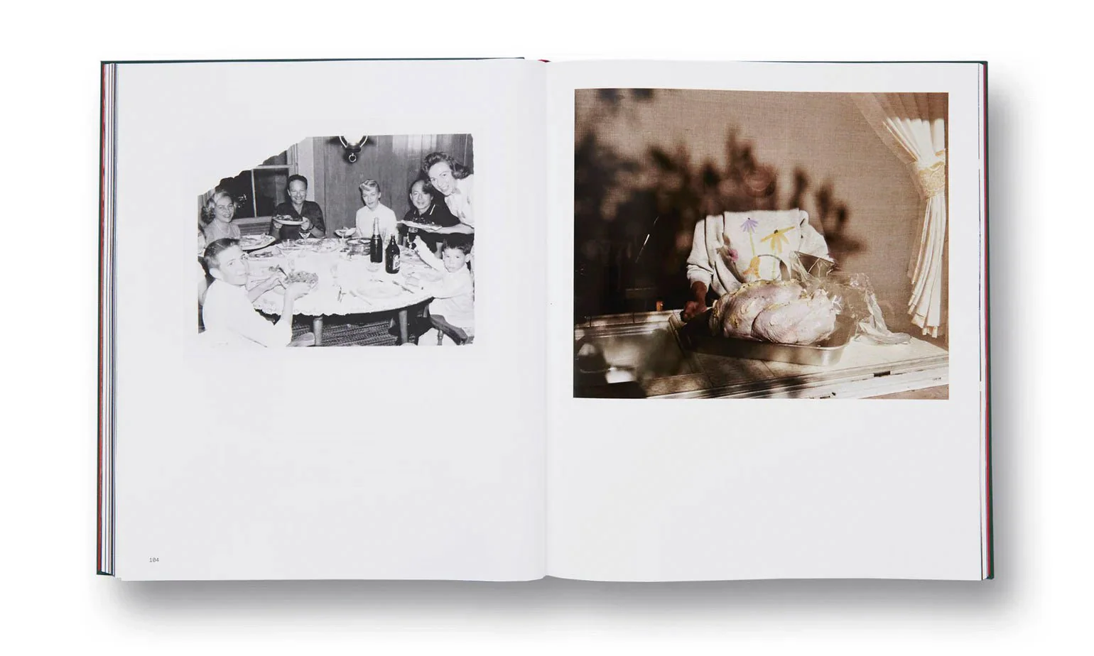 Pictures from Home by Larry Sultan - Image 4