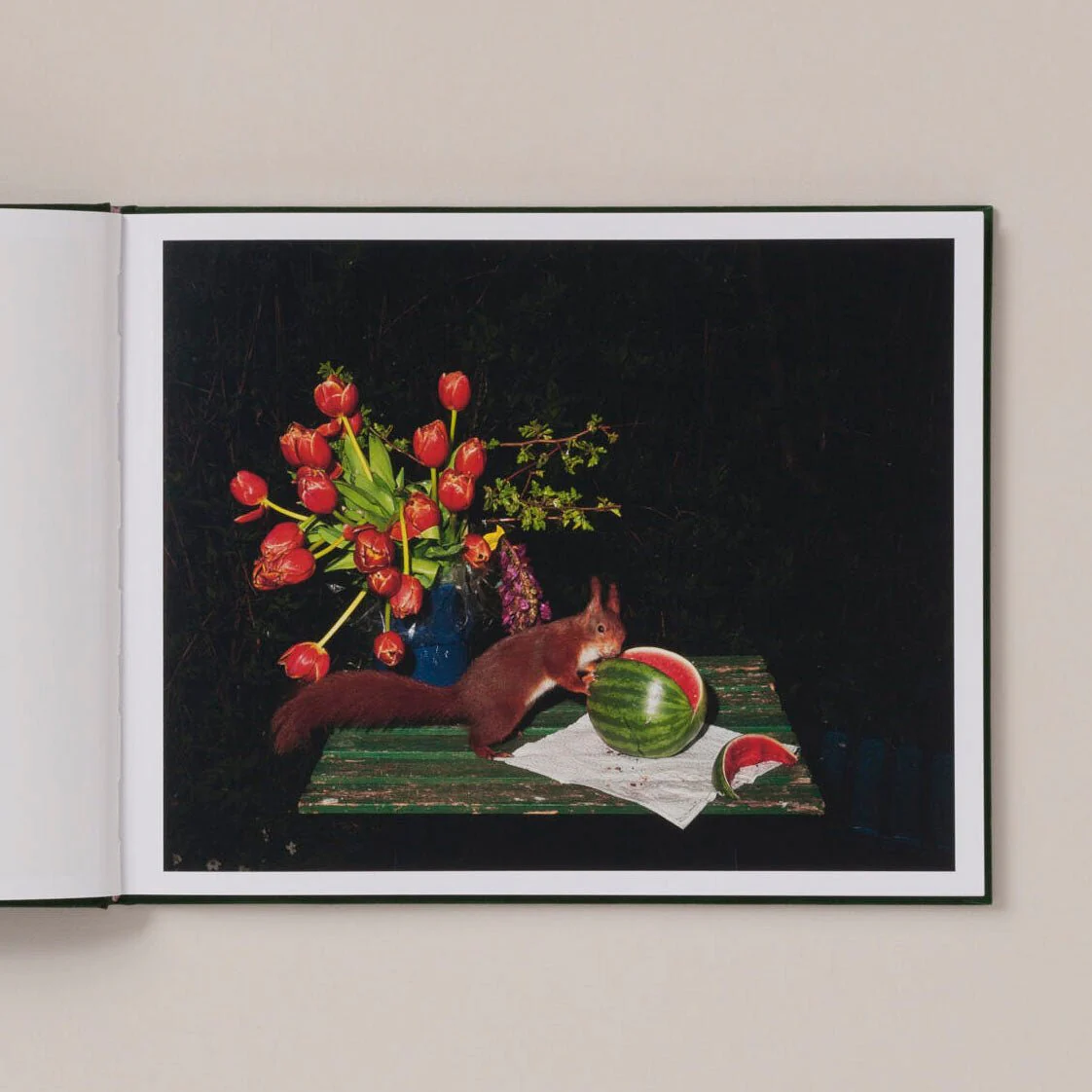 Plates I-XXXI by Lia Darjes - Image 3