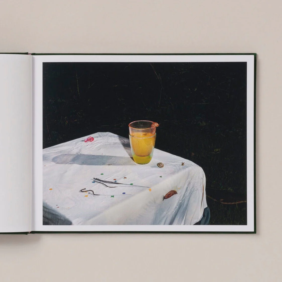 Plates I-XXXI by Lia Darjes - Image 5