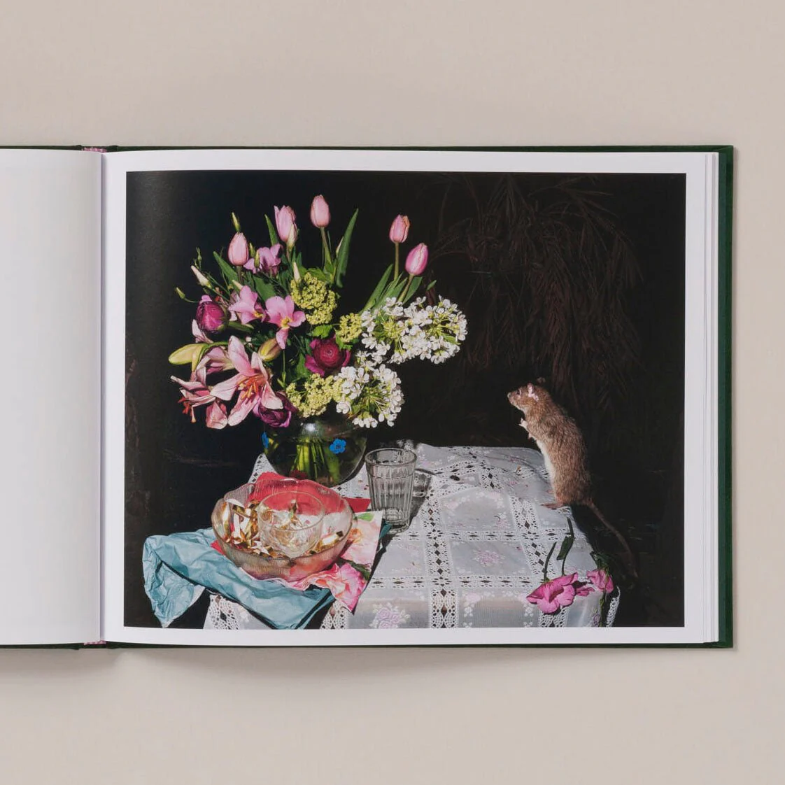 Plates I-XXXI by Lia Darjes - Image 7