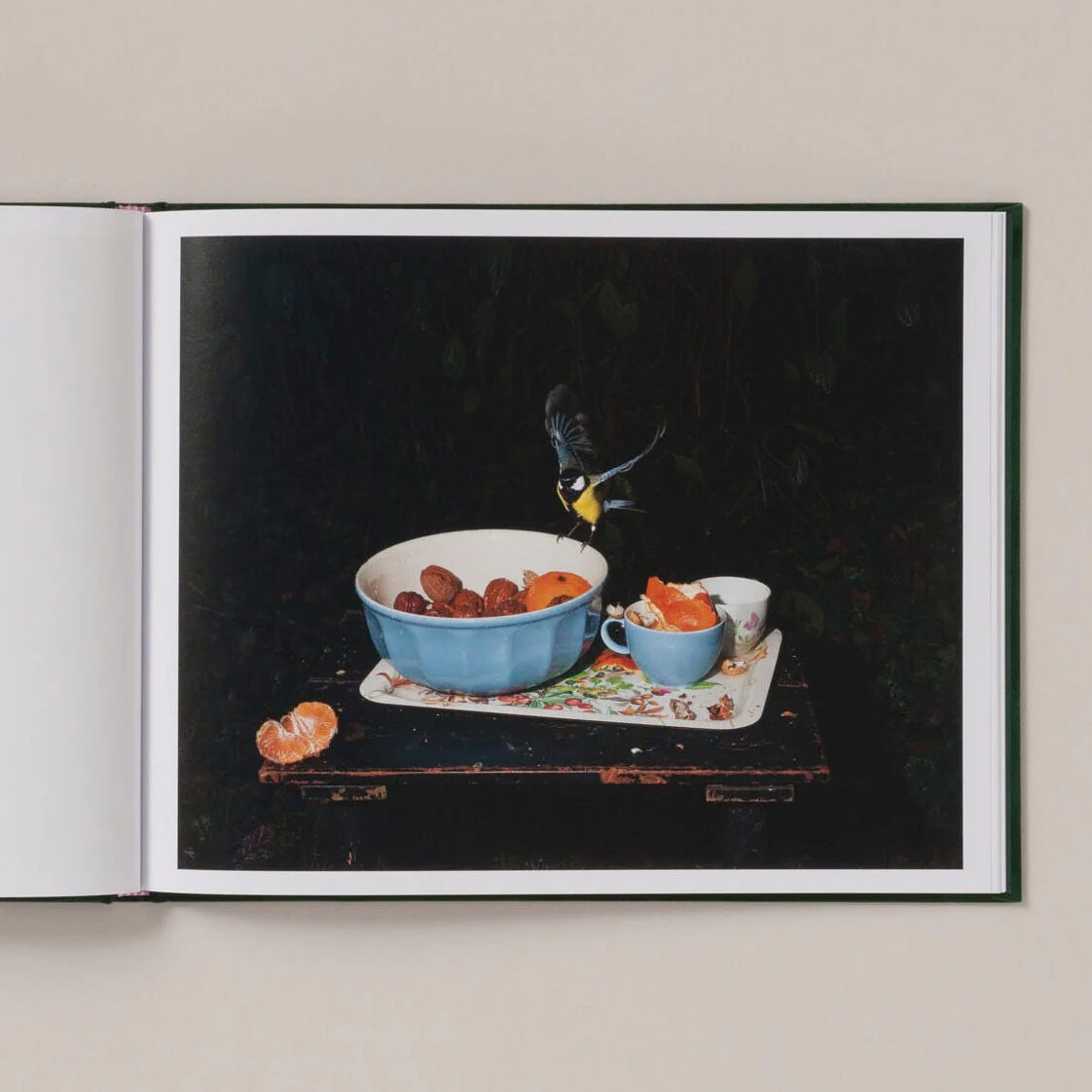 Plates I-XXXI by Lia Darjes - Image 8