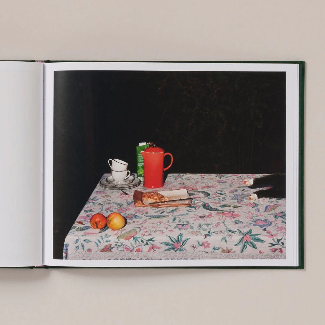 Plates I-XXXI by Lia Darjes - Image 9