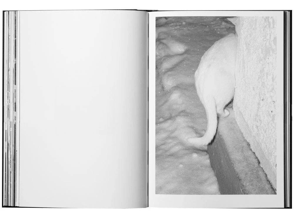 Porcelain and Wool by Kincső Bede - Image 3