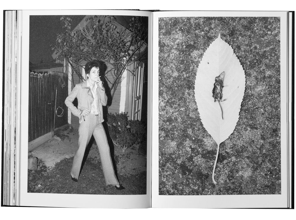 Porcelain and Wool by Kincső Bede - Image 6