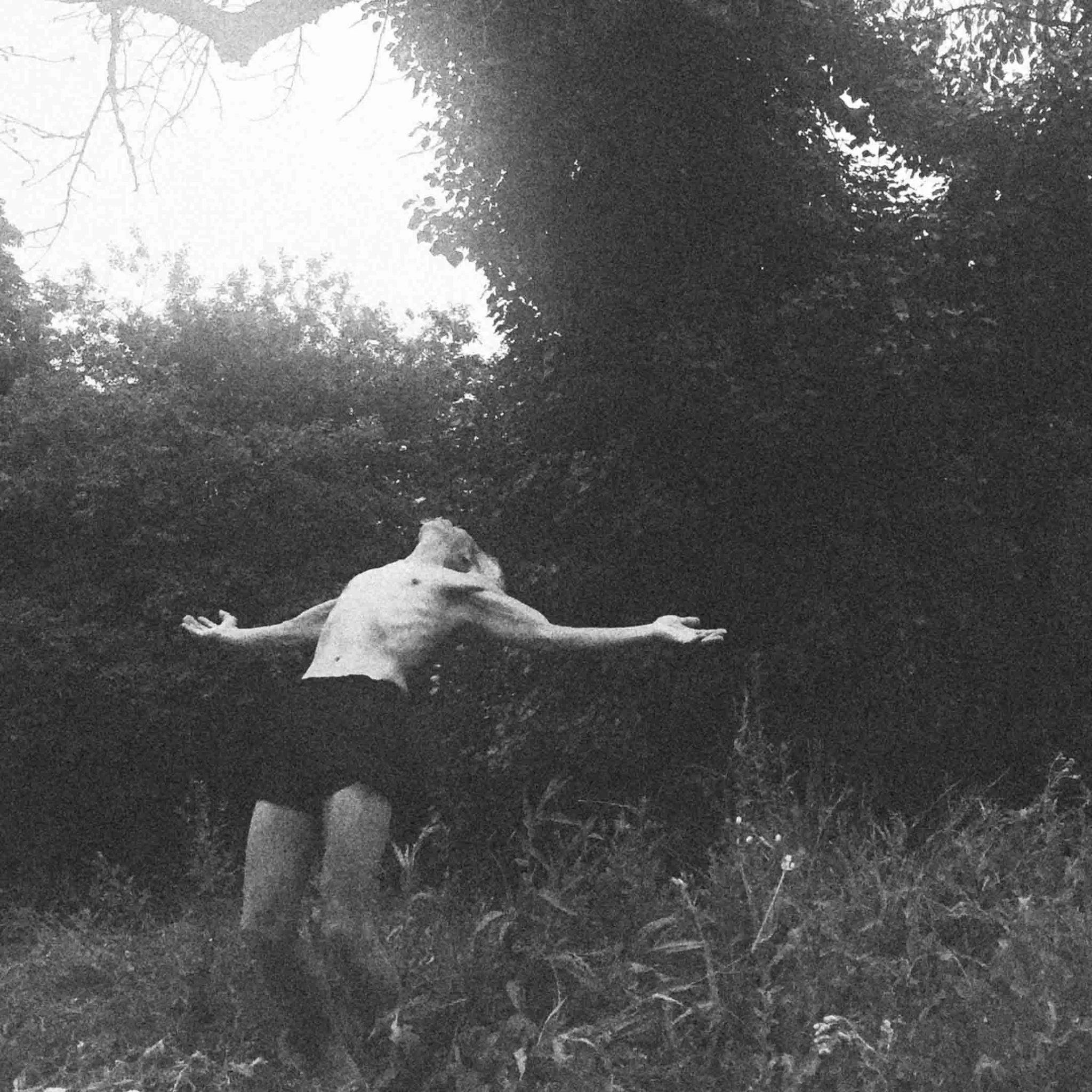 Printemps vivant by Maxime Guedaly - Image 7