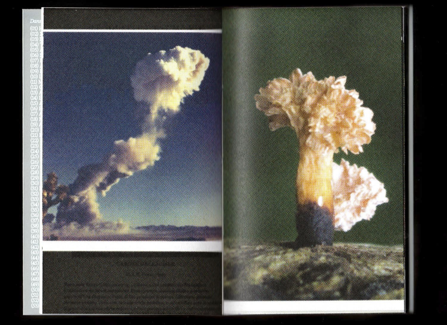 Pyrocumulus, un atlas de champignons by Valia Russo - Image 2