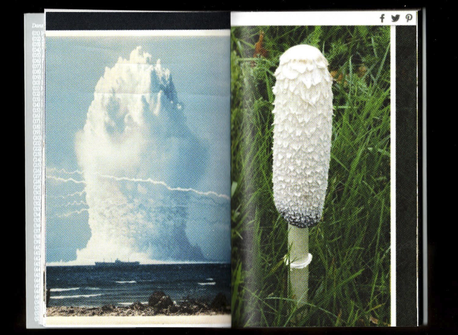 Pyrocumulus, un atlas de champignons by Valia Russo - Image 8