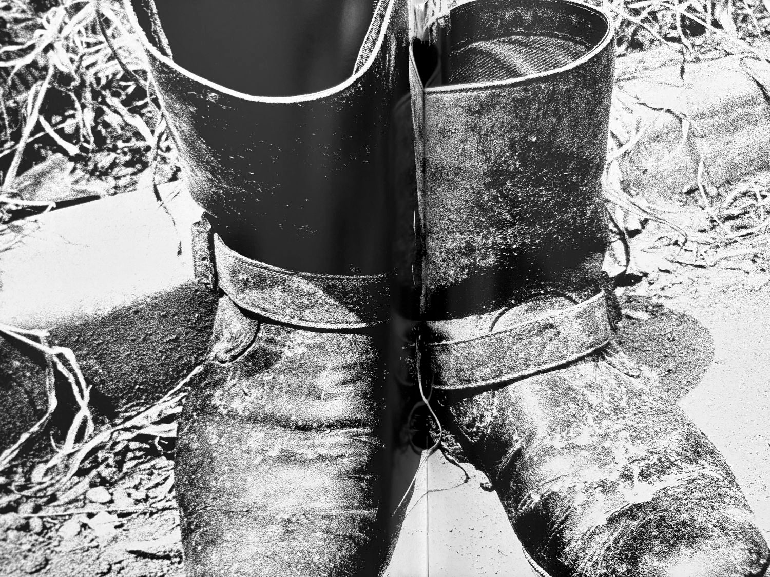 Quartet by Daido Moriyama - Image 17