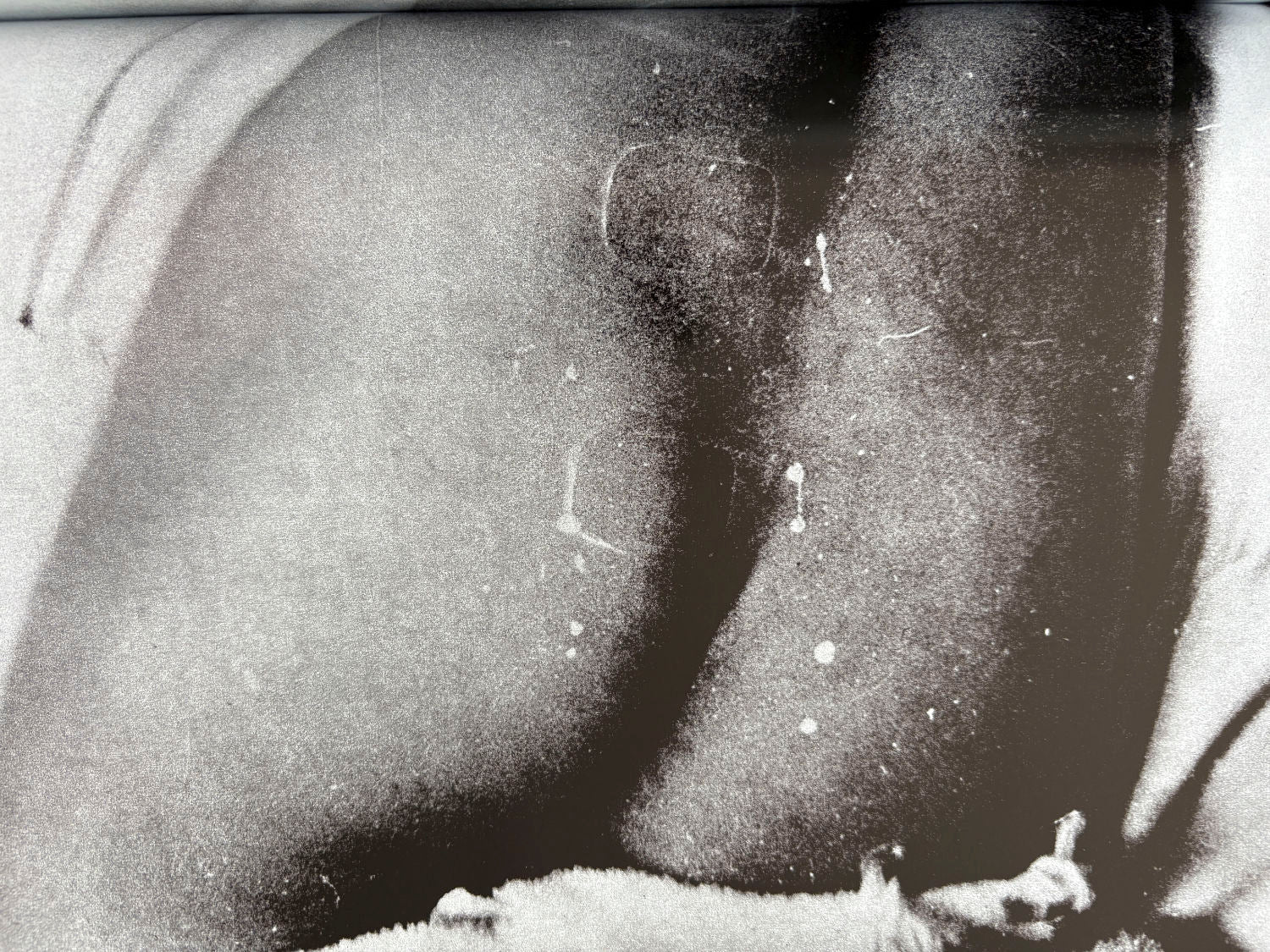 Quartet by Daido Moriyama - Image 8