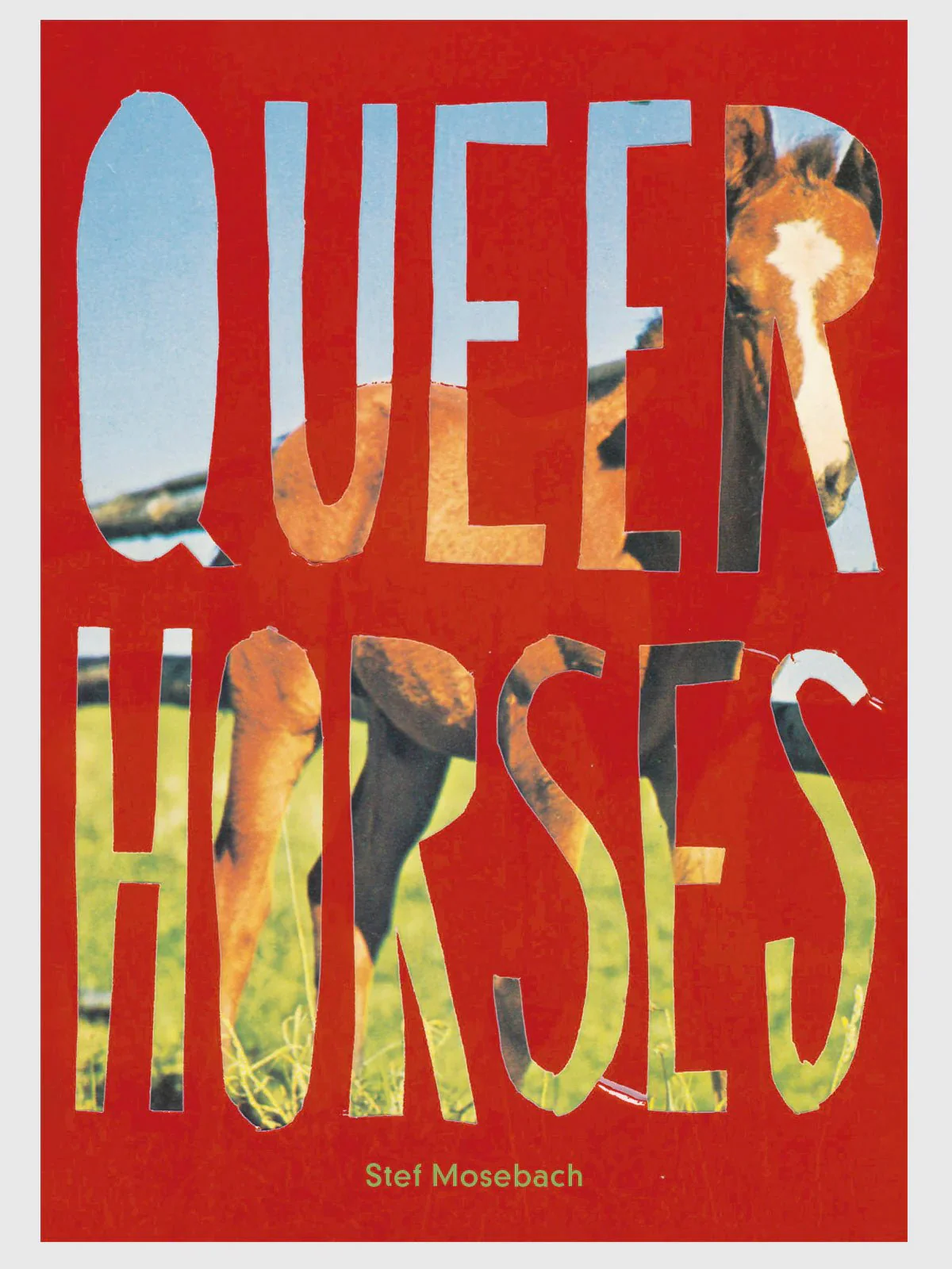 Queer horses by Stefan Mosebach