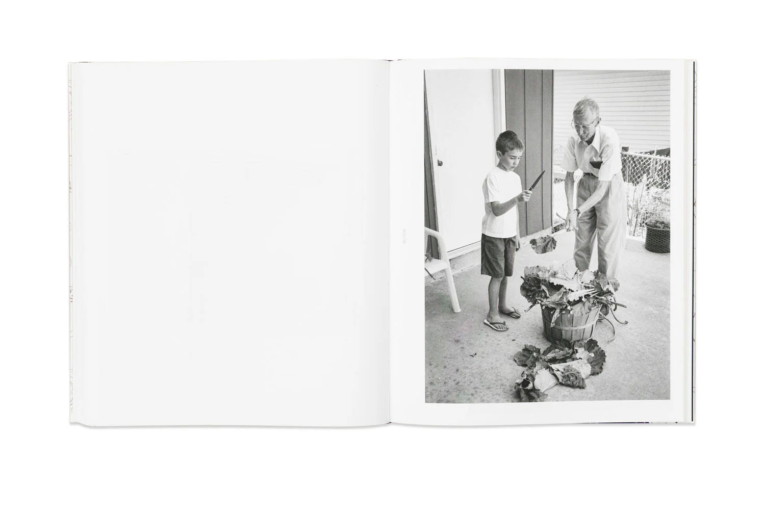 Relative Moments by Deanna Dikeman - Image 3