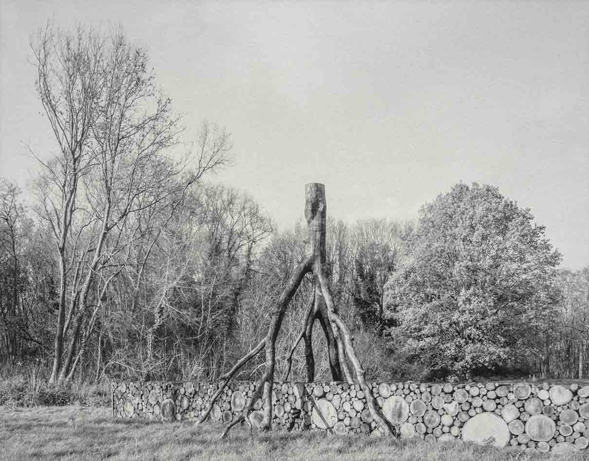 Replica Falsifica by Paul P D'Haese - Image 7