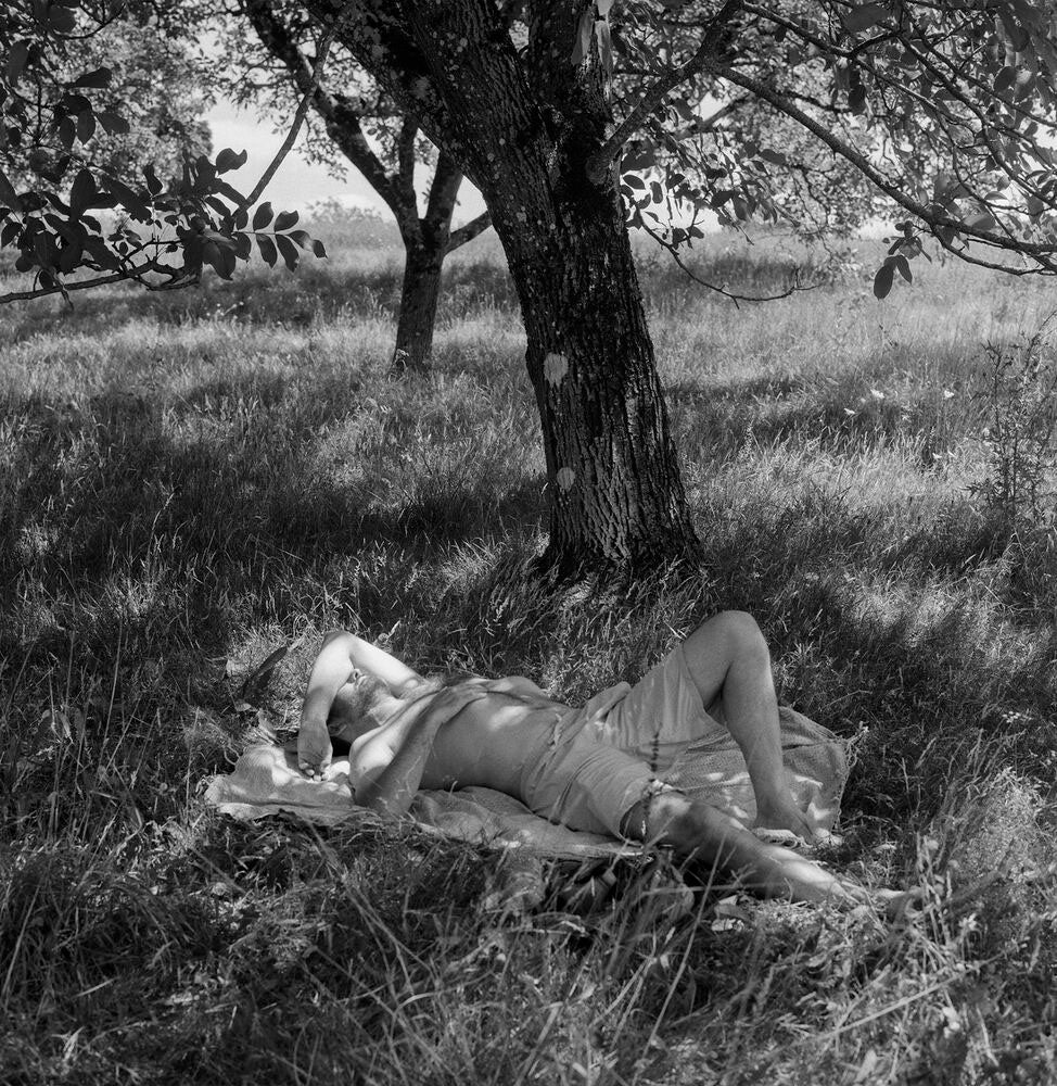 Riverland by Marjolein Martinot - Image 6