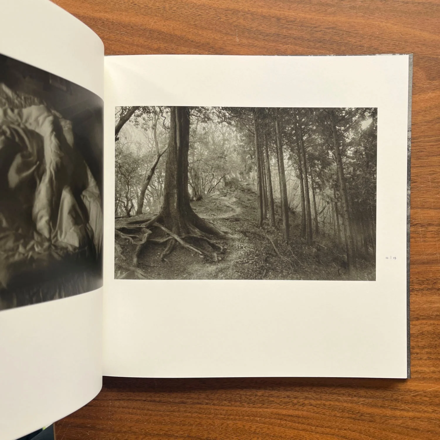 Roganfudoki by Masahito Agake - Image 3
