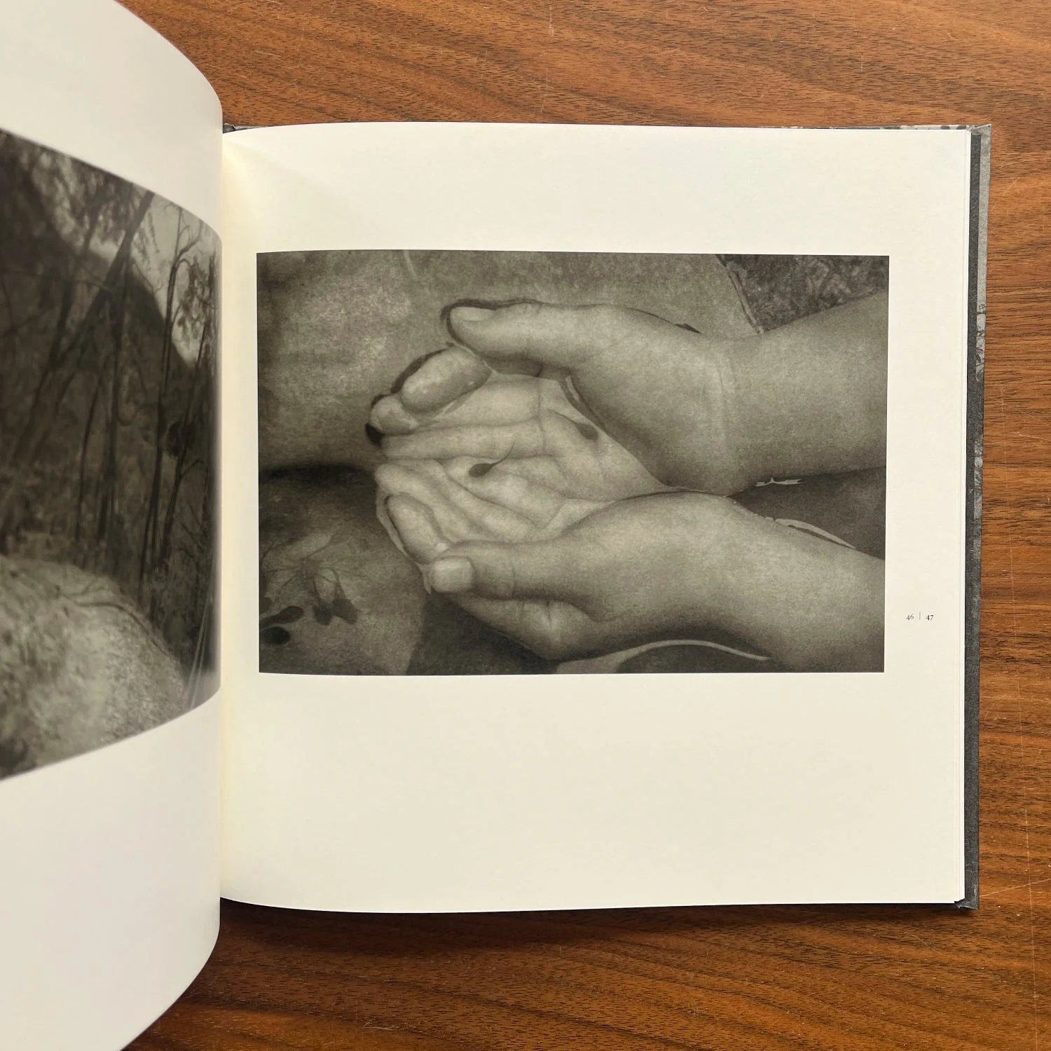 Roganfudoki by Masahito Agake - Image 7