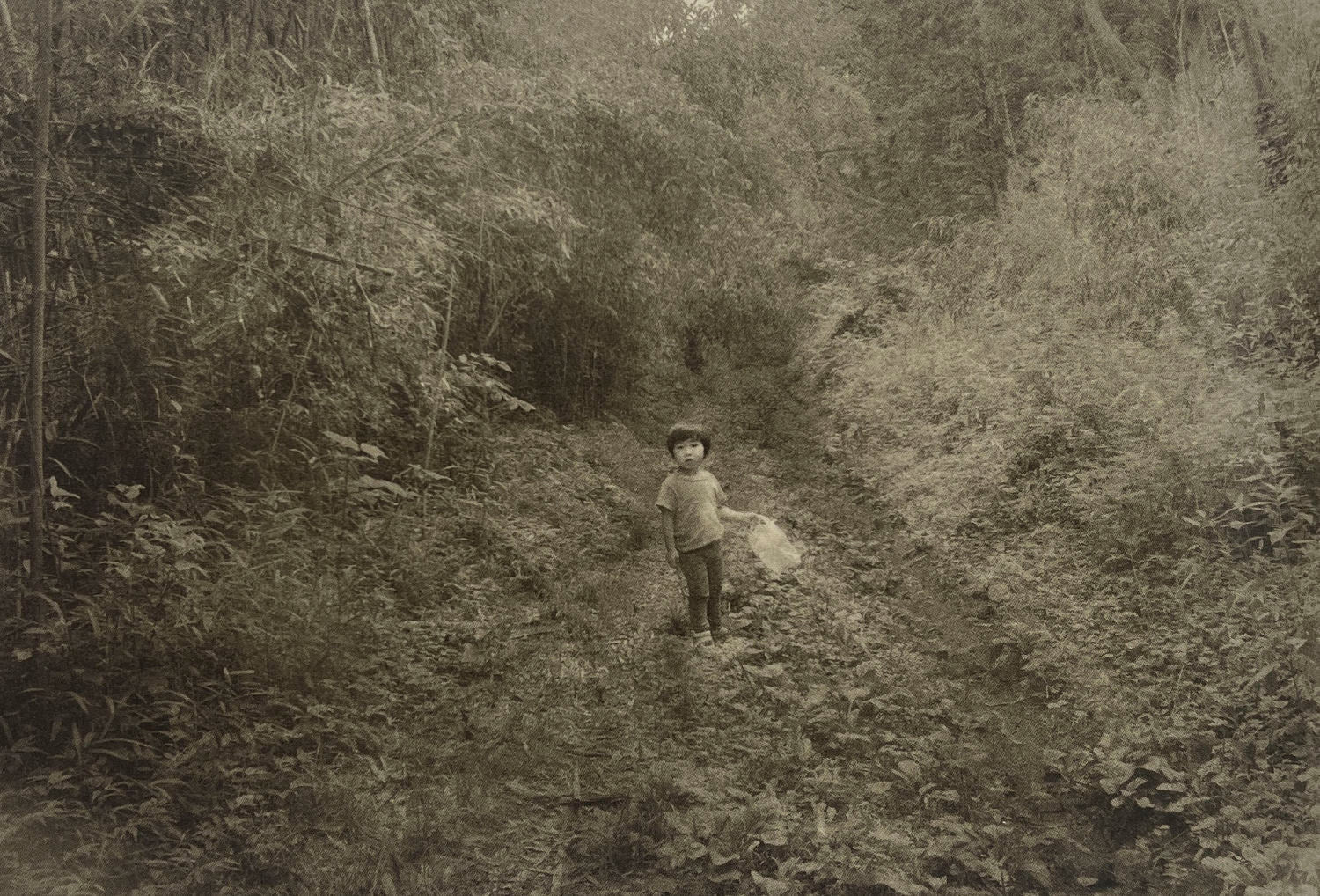 Roganfudoki by Masahito Agake - Image 8
