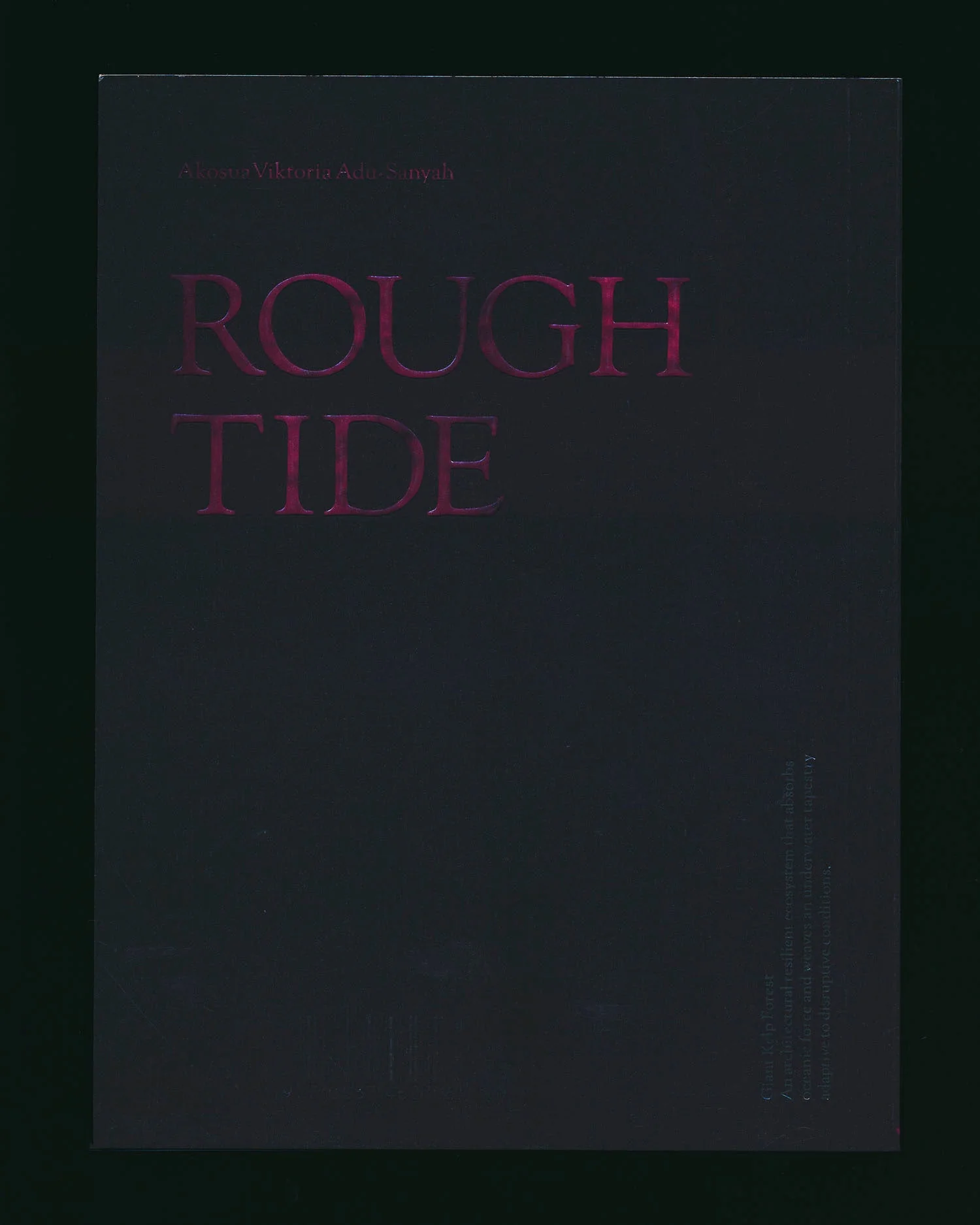 Rough Tide by Akosua Viktoria Adu-Sanyah