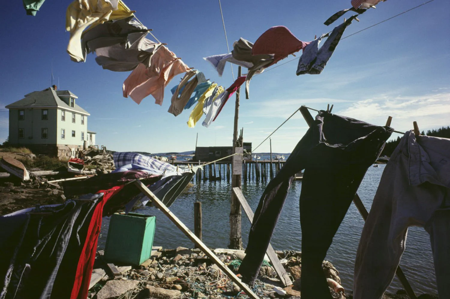 Sealskin by Jeff Dworsky - Image 22
