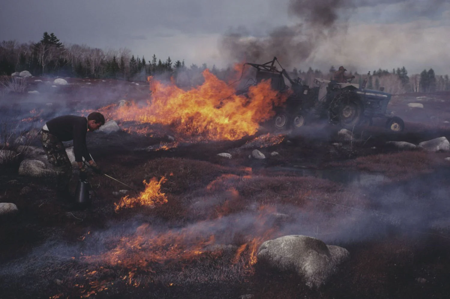 Sealskin by Jeff Dworsky - Image 9