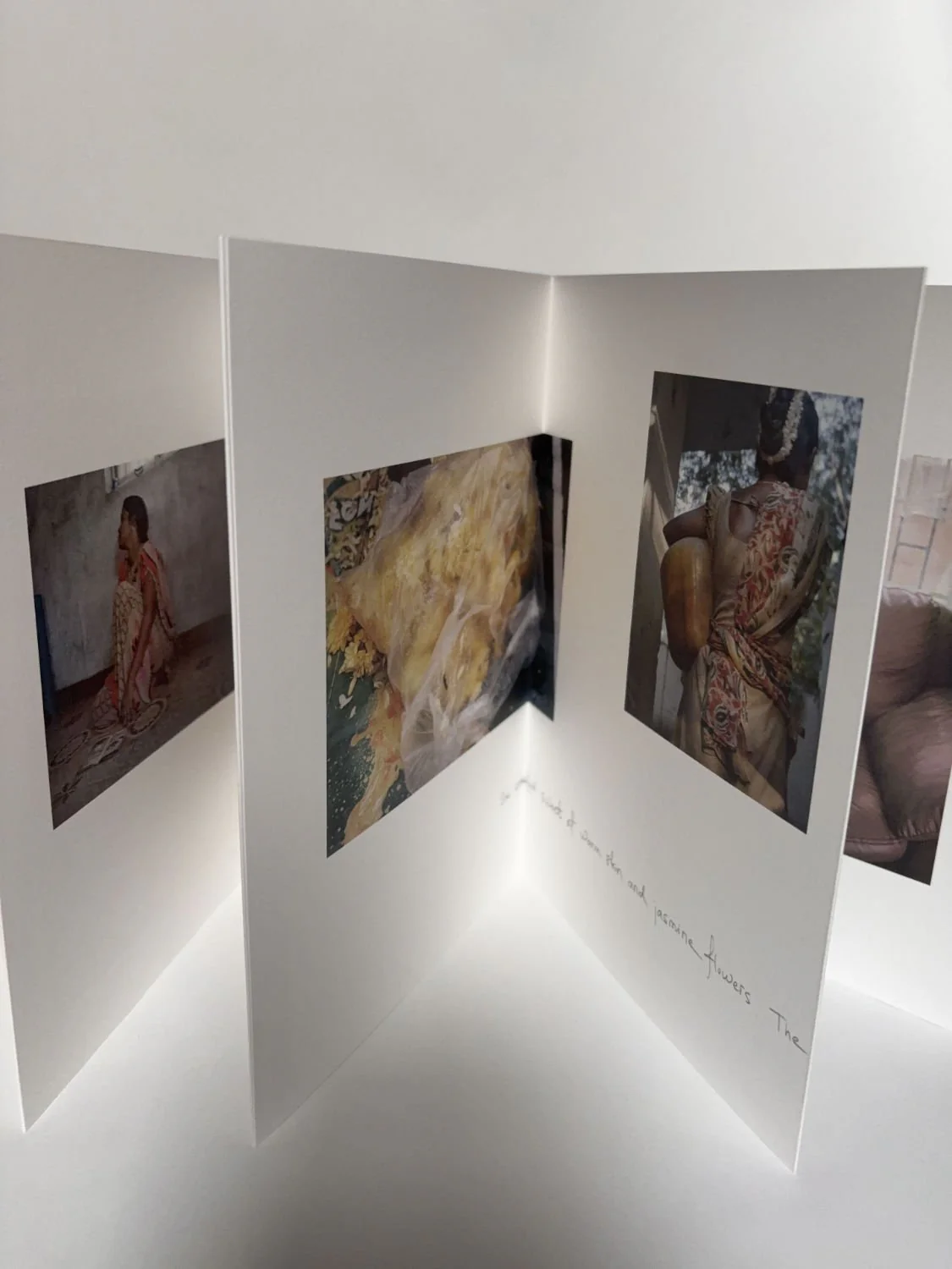 Searching for sivagami by Hannah Modigh - Image 10
