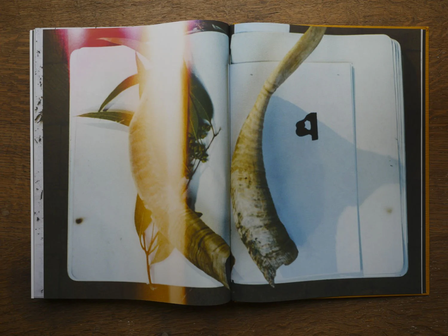 Silkroad by Mark Borthwick and Mari Marciano - Image 7