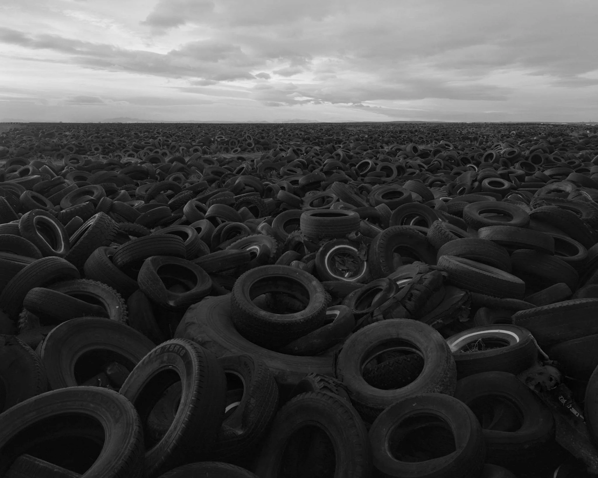 Sons of the Living by Bryan Schutmaat - Image 10