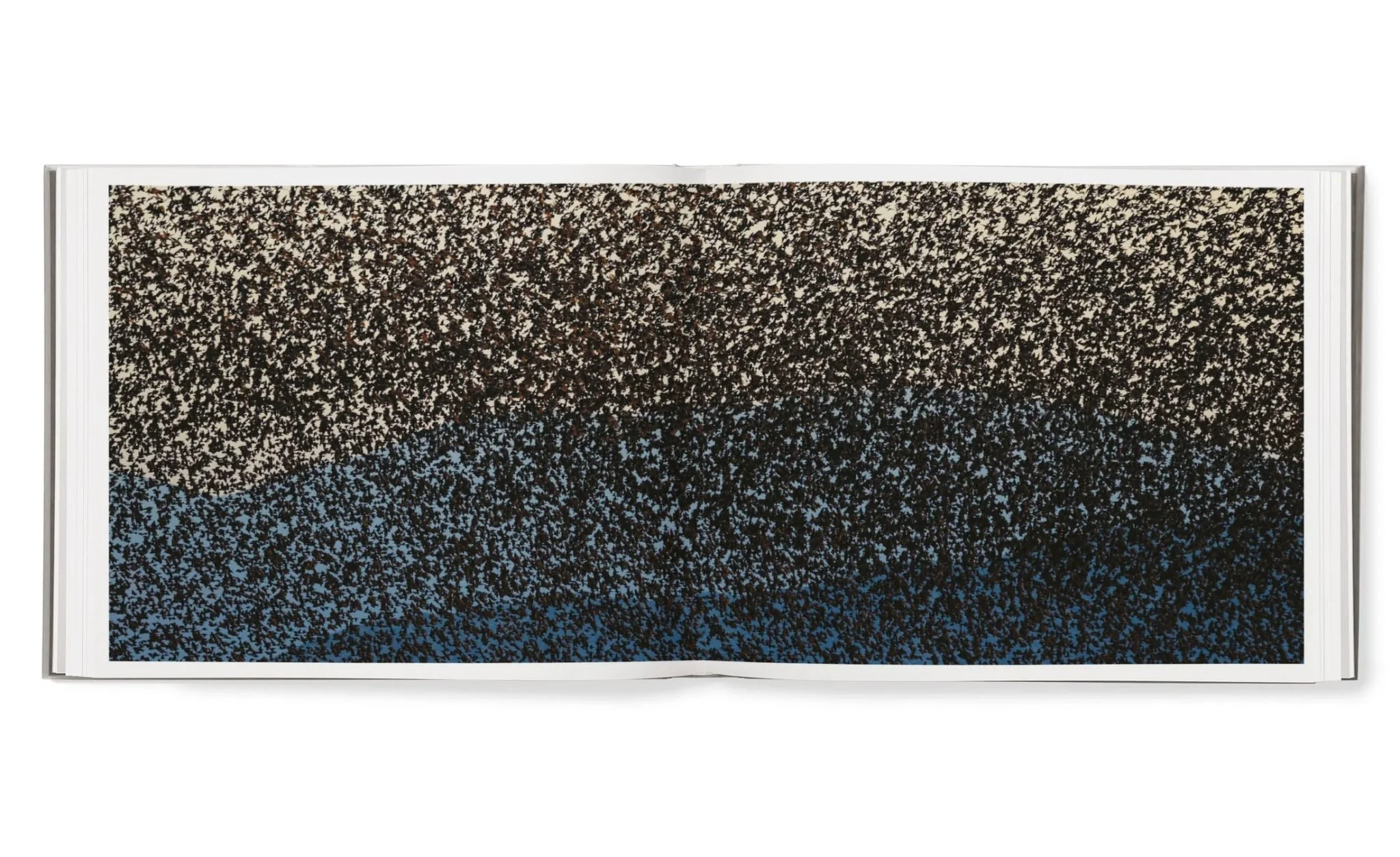 Starling & Black sun by Søren Solkaer - Image 11