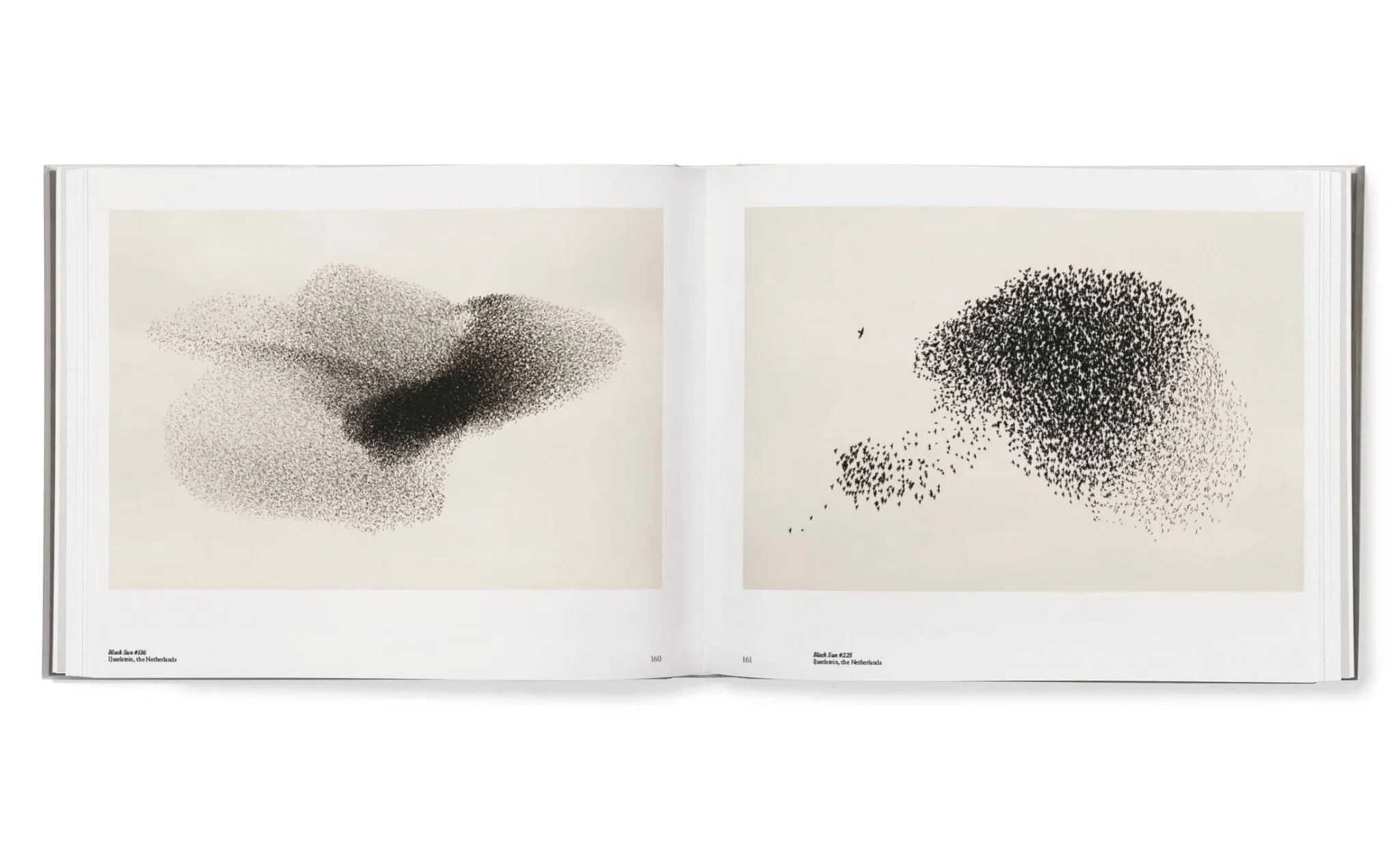 Starling & Black sun by Søren Solkaer - Image 14