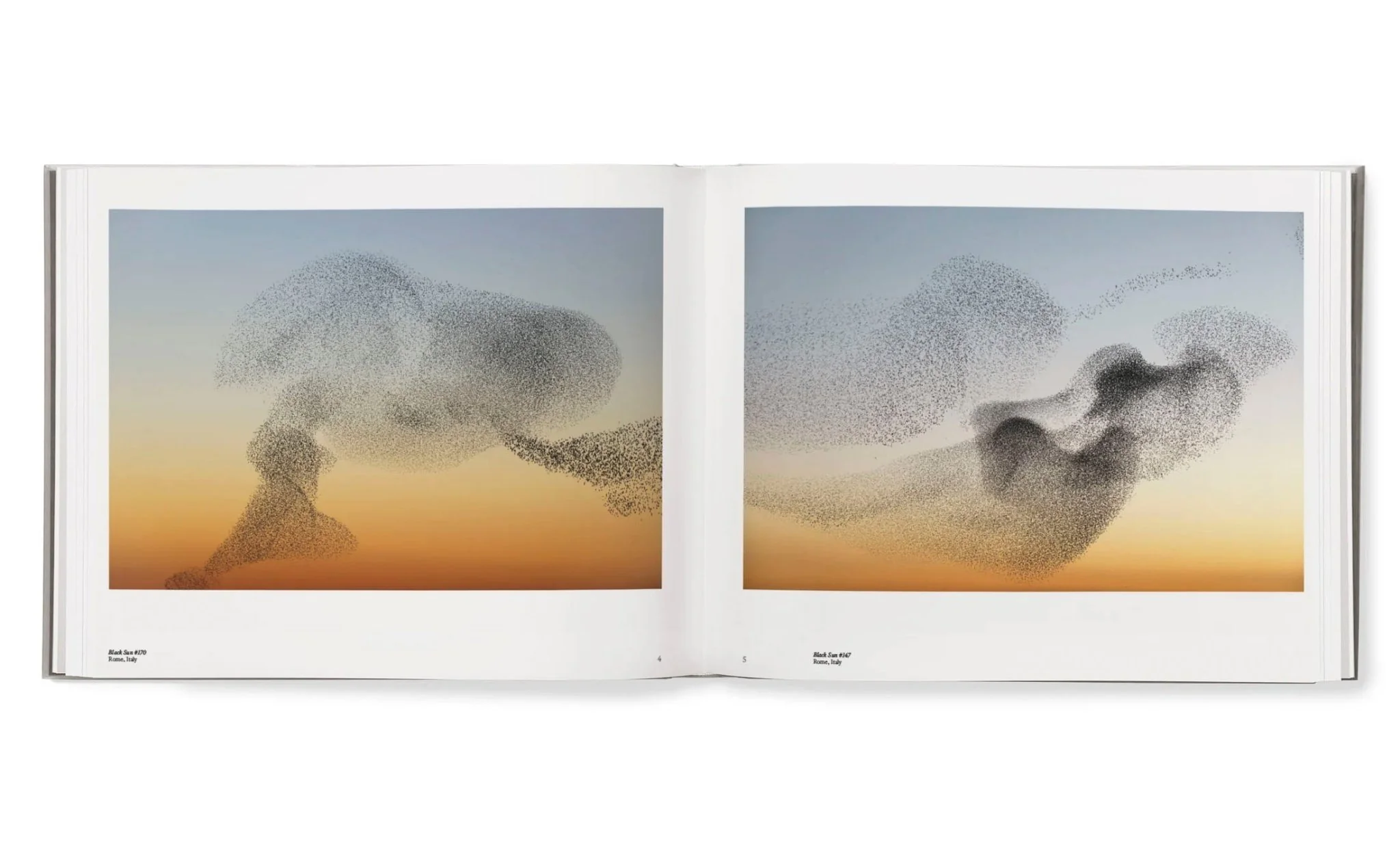 Starling & Black sun by Søren Solkaer - Image 15
