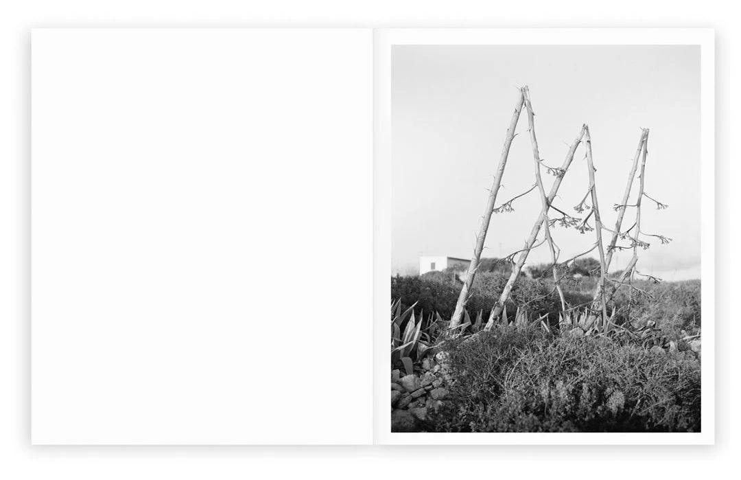 Sub Sole by Massao Mascaro - Image 7