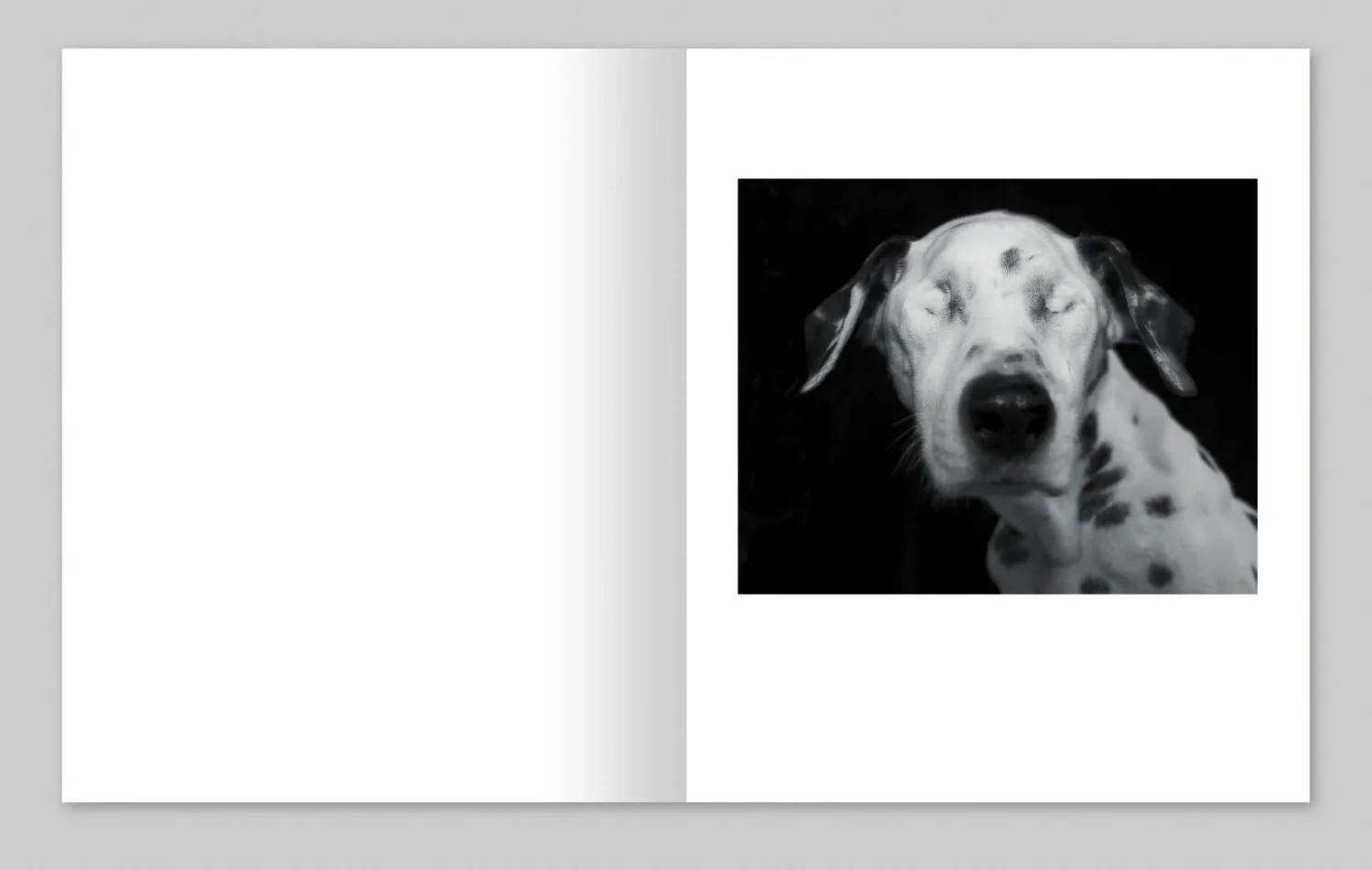 The Crisis Tapes by Charlie Simokaitis - Image 13