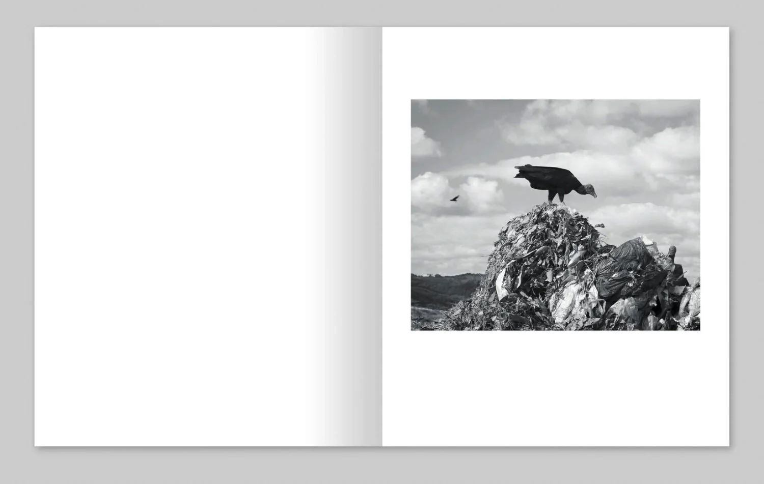 The Crisis Tapes by Charlie Simokaitis - Image 9