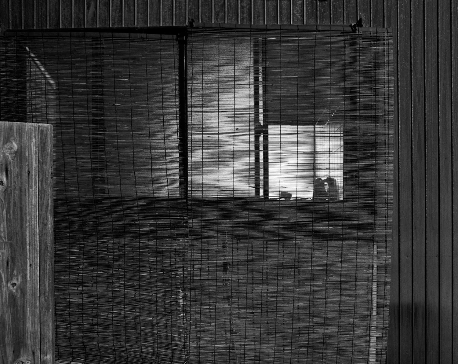 The Humanness of Our Lonely Selves by Awoiska van der Molen - Image 6