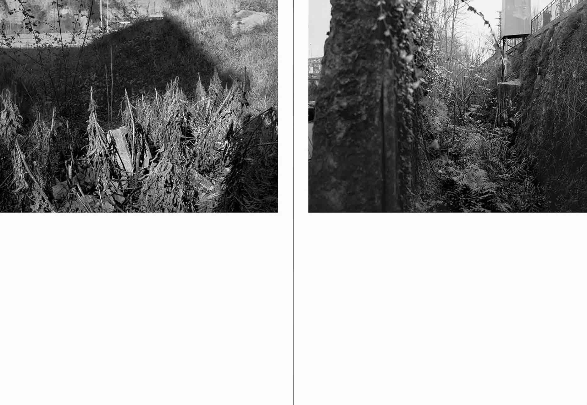 The Inhabitants by Raymond Meeks & George Weld - Image 4