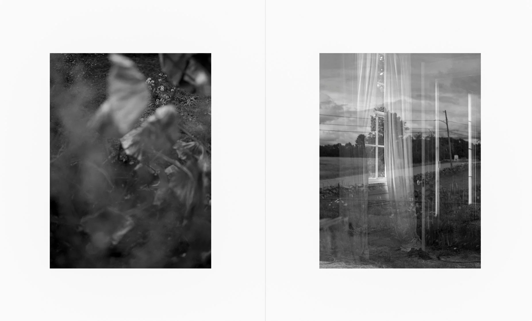 The long shadow by Odette England - Image 6