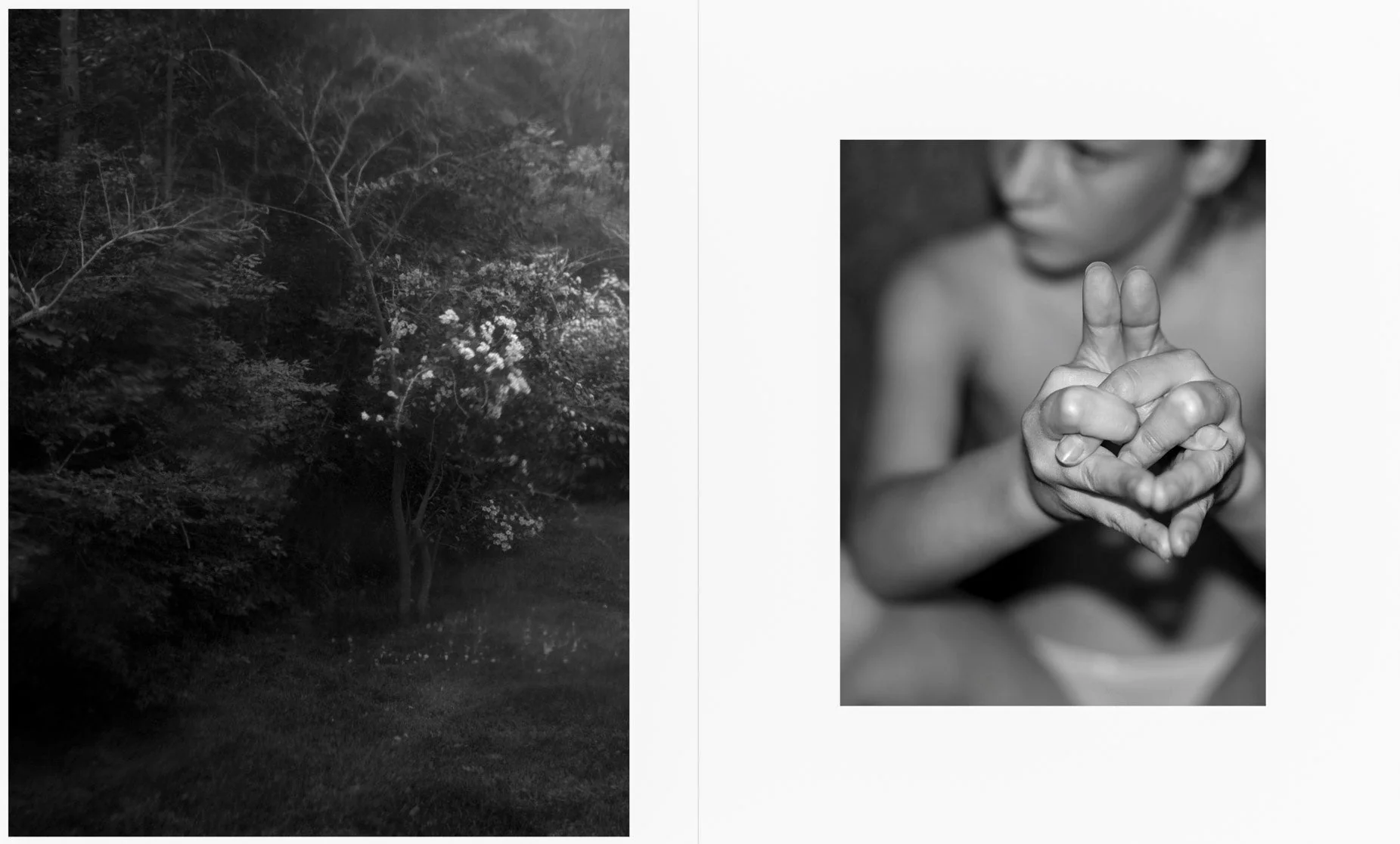 The long shadow by Odette England - Image 7