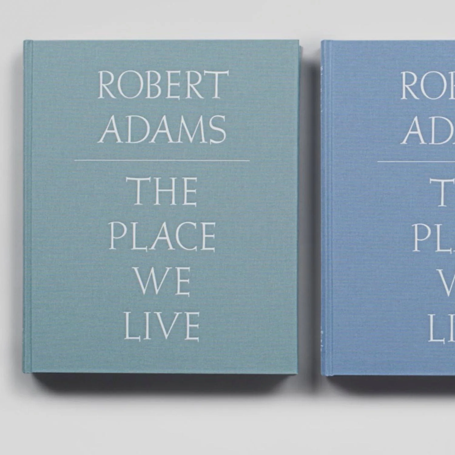 The Place We Live by Robert Adams - Image 2