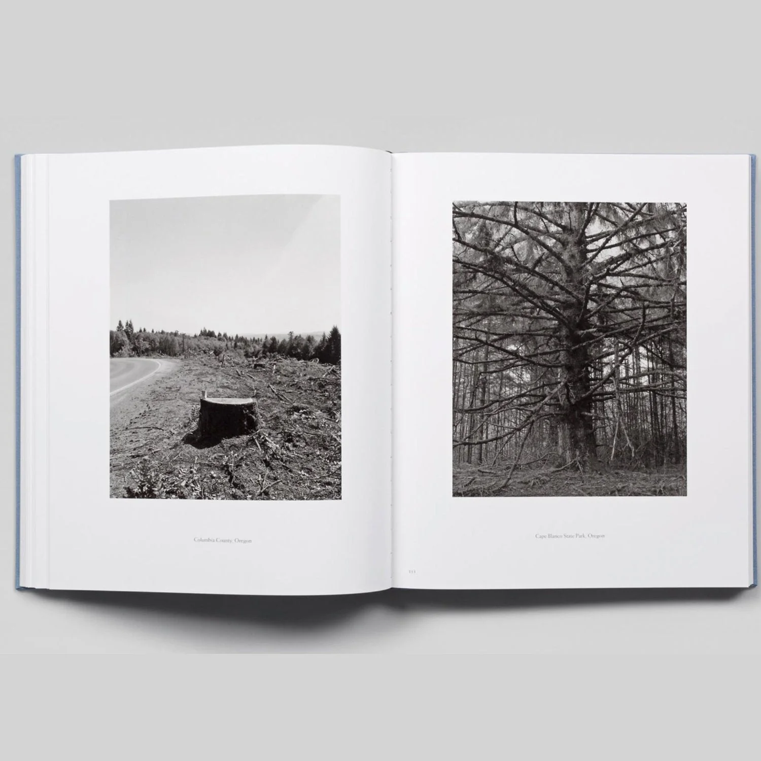 The Place We Live by Robert Adams - Image 4