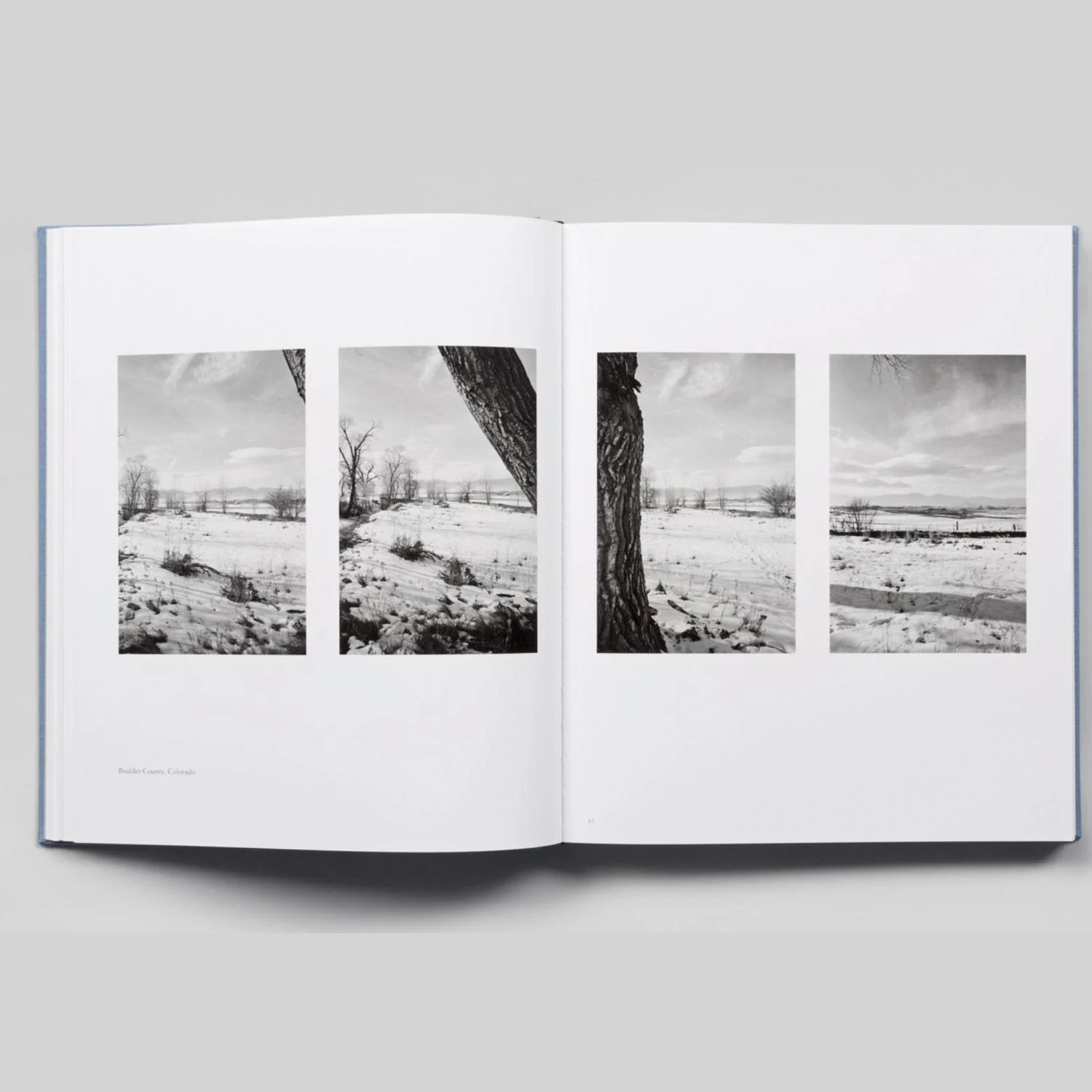 The Place We Live by Robert Adams - Image 5