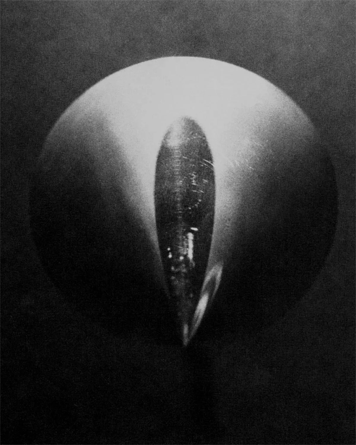 The Skeptics by David De Beyter - Image 10